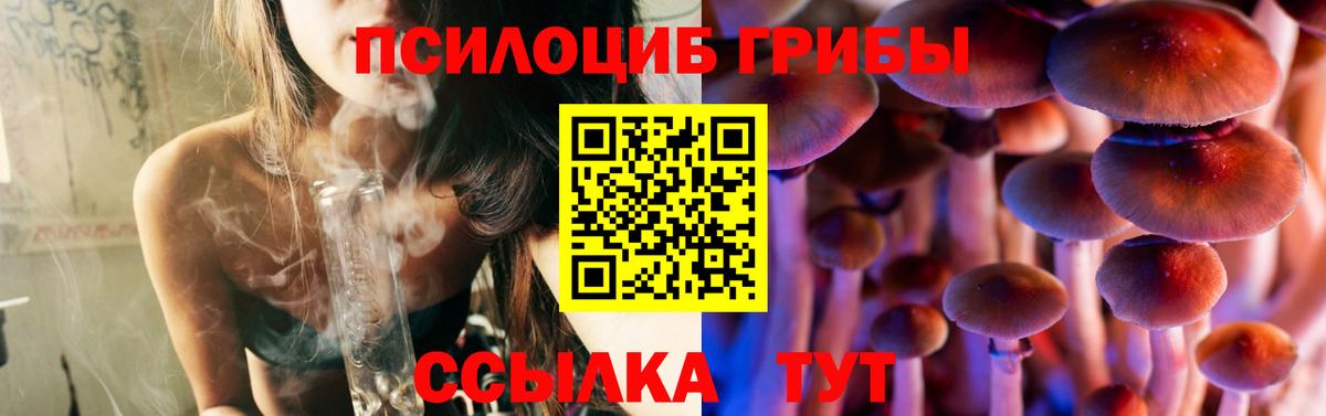 Галлюциногенные грибы Cubensis Звенигород